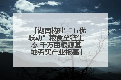 湖南构建“五优联动”粮食全链生态 千万亩粮源基地夯实产业根基