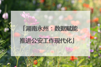 湖南永州：数据赋能推进公安工作现代化