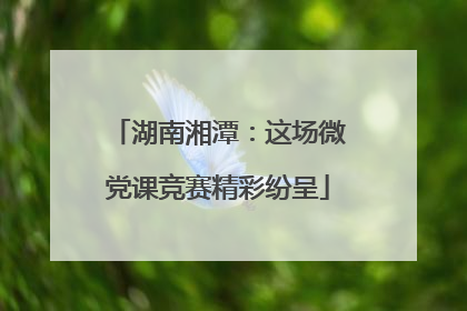 湖南湘潭：这场微党课竞赛精彩纷呈