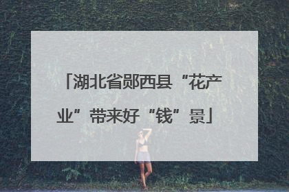 湖北省郧西县“花产业”带来好“钱”景