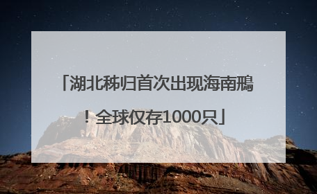 湖北秭归首次出现海南鳽！全球仅存1000只