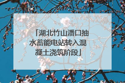 湖北竹山潘口抽水蓄能电站转入混凝土浇筑阶段