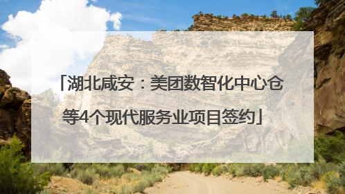 湖北咸安：美团数智化中心仓等4个现代服务业项目签约