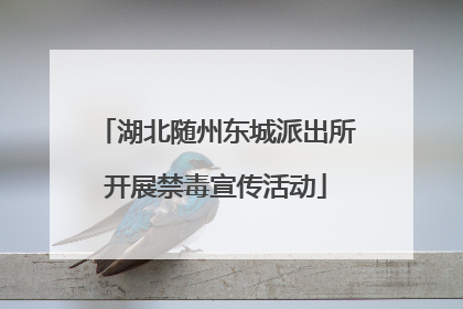 湖北随州东城派出所开展禁毒宣传活动