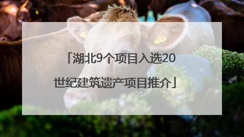 湖北9个项目入选20世纪建筑遗产项目推介