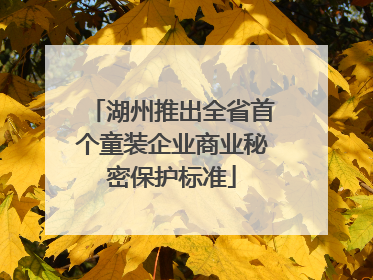 湖州推出全省首个童装企业商业秘密保护标准