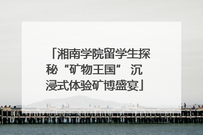 湘南学院留学生探秘“矿物王国” 沉浸式体验矿博盛宴