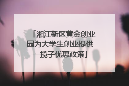 湘江新区黄金创业园为大学生创业提供一揽子优惠政策