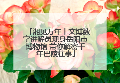 湘见万年丨文博数字讲解员现身岳阳市博物馆 带你解密千年巴陵往事