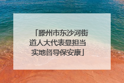 滕州市东沙河街道人大代表显担当实地督导保安康