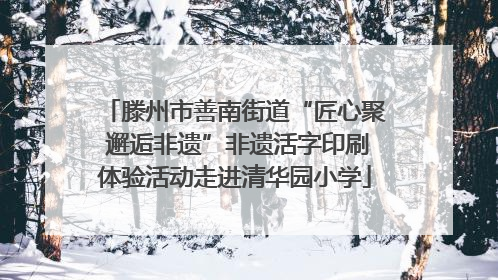滕州市善南街道“匠心聚 邂逅非遗”非遗活字印刷体验活动走进清华园小学