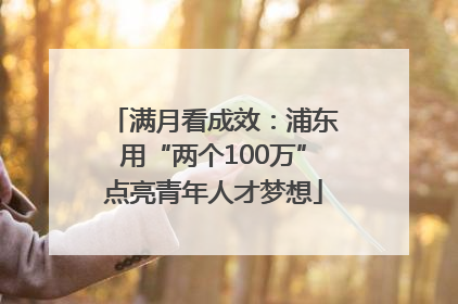 满月看成效：浦东用“两个100万”点亮青年人才梦想