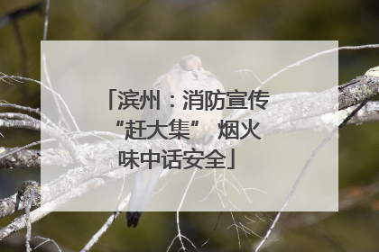 滨州：消防宣传“赶大集” 烟火味中话安全