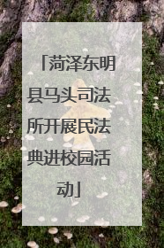 菏泽东明县马头司法所开展民法典进校园活动