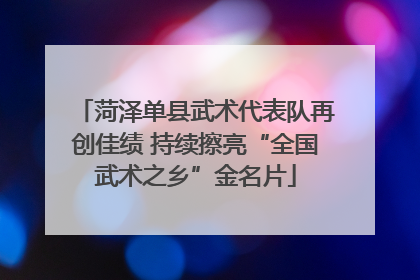 菏泽单县武术代表队再创佳绩 持续擦亮“全国武术之乡”金名片
