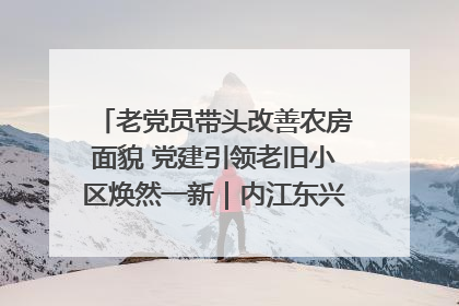 老党员带头改善农房面貌 党建引领老旧小区焕然一新｜内江东兴“红”在哪？④