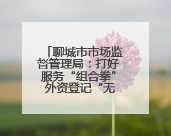 聊城市市场监督管理局：打好服务“组合拳” 外资登记“无忧办”