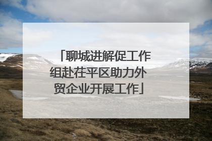 聊城进解促工作组赴茌平区助力外贸企业开展工作