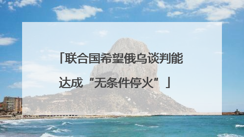 联合国希望俄乌谈判能达成“无条件停火”