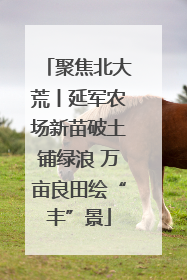 聚焦北大荒丨延军农场新苗破土铺绿浪 万亩良田绘“丰”景