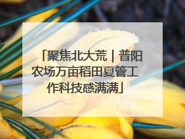 聚焦北大荒｜普阳农场万亩稻田夏管工作科技感满满