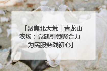 聚焦北大荒｜青龙山农场：党建引领聚合力 为民服务践初心