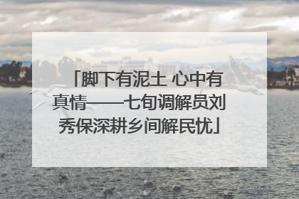 脚下有泥土 心中有真情——七旬调解员刘秀保深耕乡间解民忧
