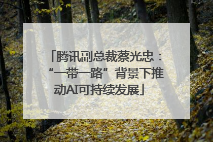 腾讯副总裁蔡光忠：“一带一路”背景下推动AI可持续发展
