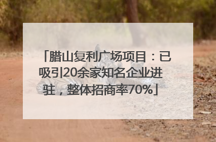 腊山复利广场项目：已吸引20余家知名企业进驻，整体招商率70%