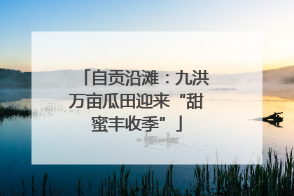 自贡沿滩：九洪万亩瓜田迎来“甜蜜丰收季”