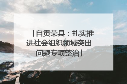 自贡荣县：扎实推进社会组织领域突出问题专项整治