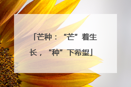 芒种：“芒”着生长，“种”下希望