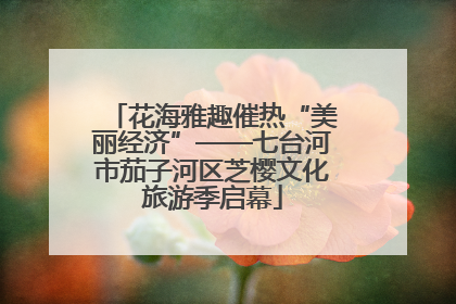 花海雅趣催热“美丽经济”——七台河市茄子河区芝樱文化旅游季启幕
