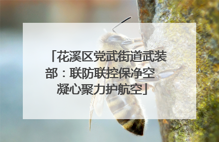 花溪区党武街道武装部：联防联控保净空 凝心聚力护航空