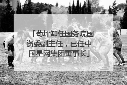 苟坪卸任国务院国资委副主任，已任中国星网集团董事长