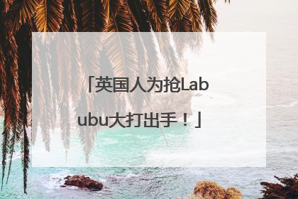 英国人为抢Labubu大打出手！
