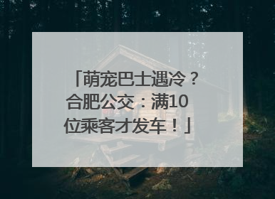 萌宠巴士遇冷？合肥公交：满10位乘客才发车！