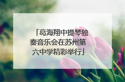 葛海翔中提琴独奏音乐会在苏州第六中学精彩举行