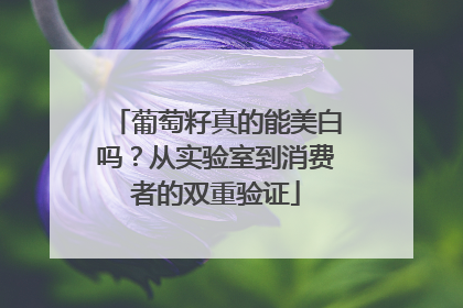 葡萄籽真的能美白吗？从实验室到消费者的双重验证