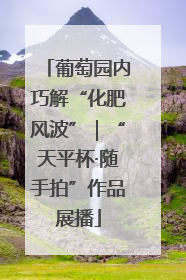 葡萄园内巧解“化肥风波”｜“天平杯·随手拍”作品展播