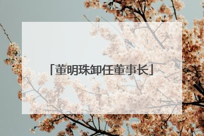 董明珠卸任董事长