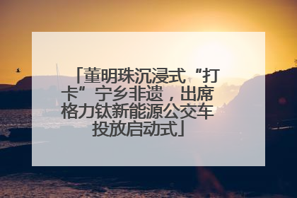董明珠沉浸式“打卡”宁乡非遗，出席格力钛新能源公交车投放启动式
