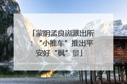 蒙阴孟良崮派出所：“小推车”推出平安好“枫”景