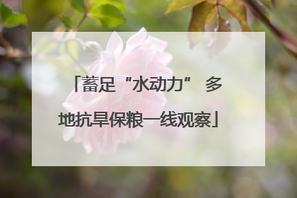 蓄足“水动力” 多地抗旱保粮一线观察
