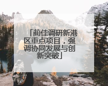 蔺佳调研新港区重点项目，强调协同发展与创新突破