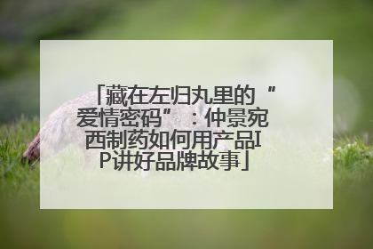 藏在左归丸里的“爱情密码”：仲景宛西制药如何用产品IP讲好品牌故事