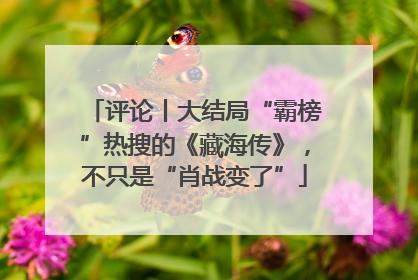 评论丨大结局“霸榜”热搜的《藏海传》，不只是“肖战变了”