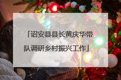 诏安县县长黄庆华带队调研乡村振兴工作