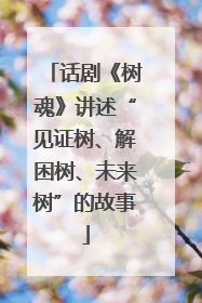 话剧《树魂》讲述“见证树、解困树、未来树”的故事