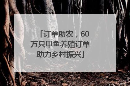 订单助农，60万只甲鱼养殖订单助力乡村振兴